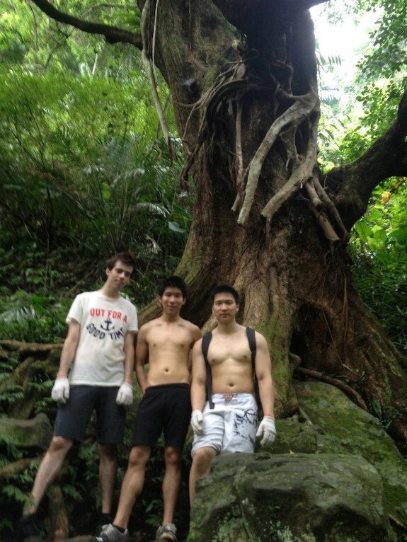 Next Image >>