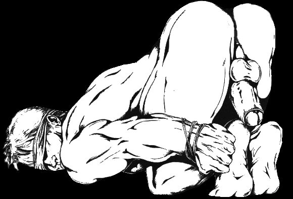 Next Image >>