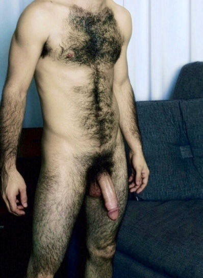 Free gays boys hairy