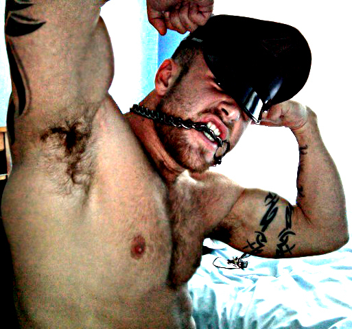 Next Image >>