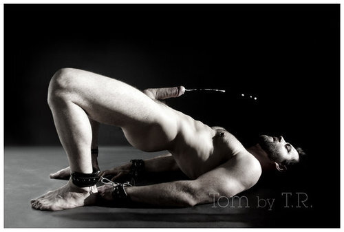 Next Image >>