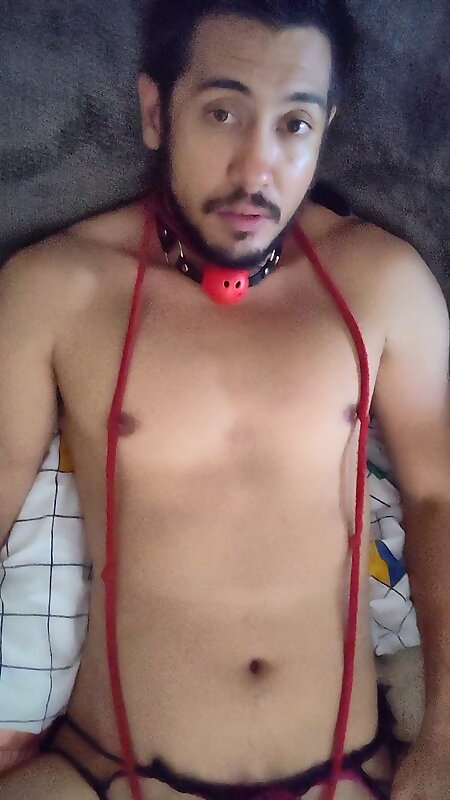 Next Image >>