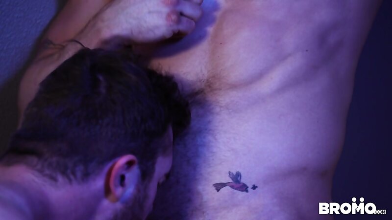 Next Image >>