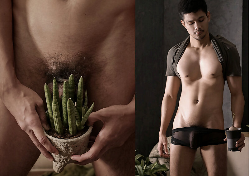 Siguiente imagen >>