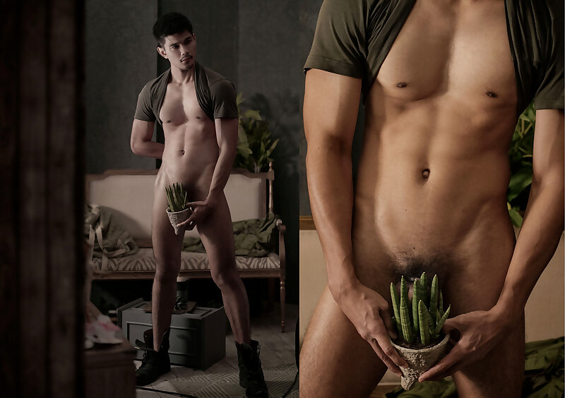 Siguiente imagen >>