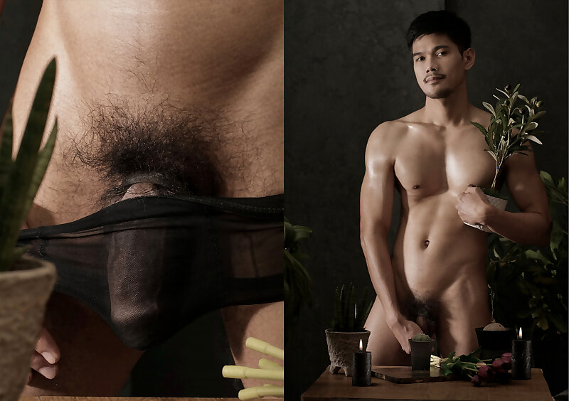 次 Image >>
