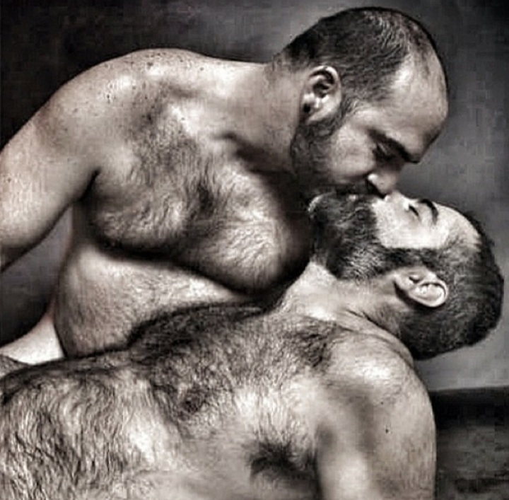 Gay bear barber