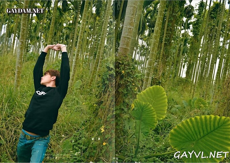 Next Image >>