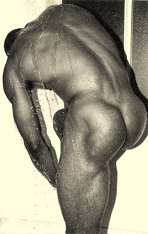 Next Image >>
