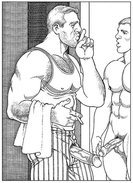 Next Image >>