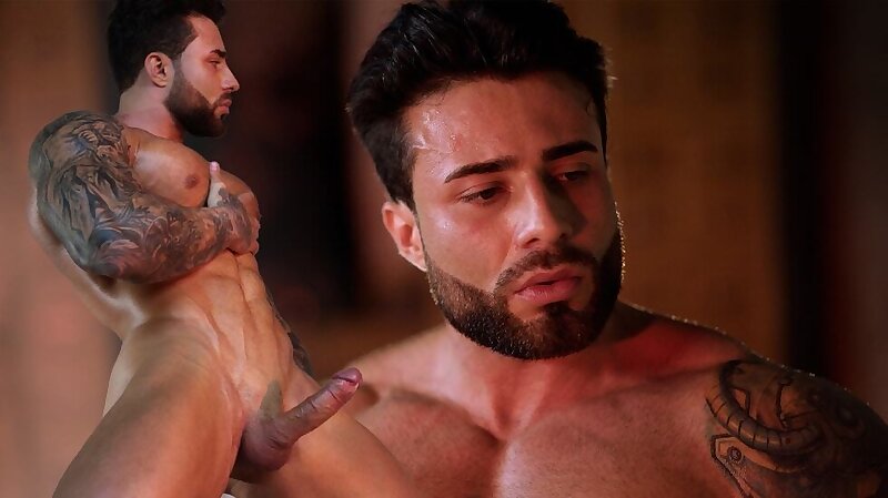 Next Image >>