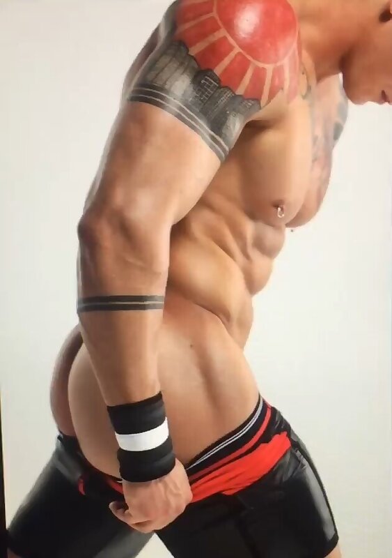 Next Image >>