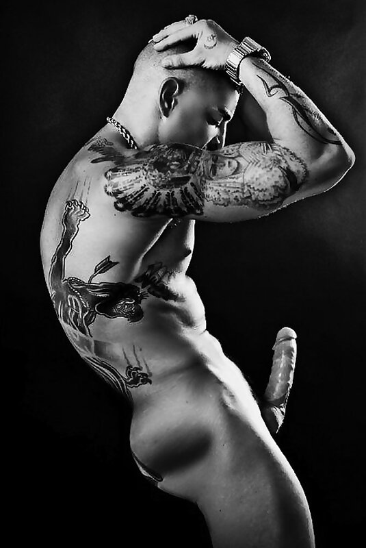 Next Image >>