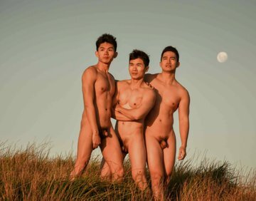 Next Image >>