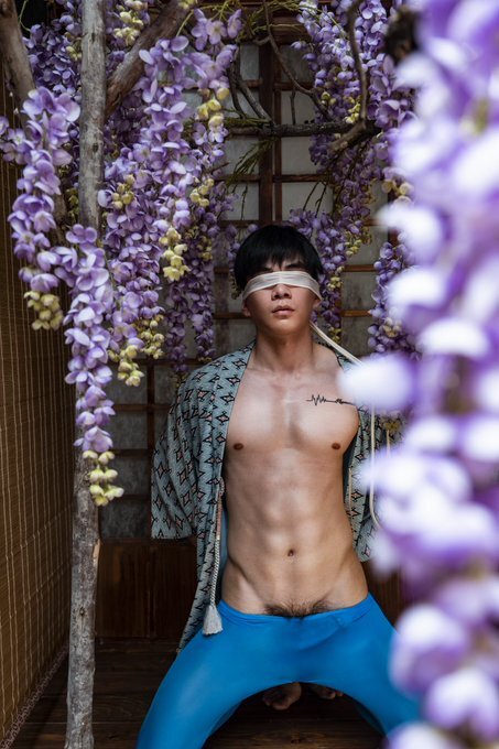 Next Image >>