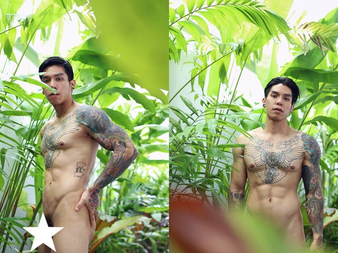 Next Image >>