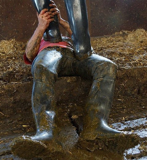 Next Image >>