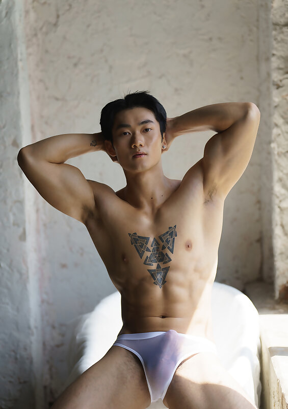 Next Image >>