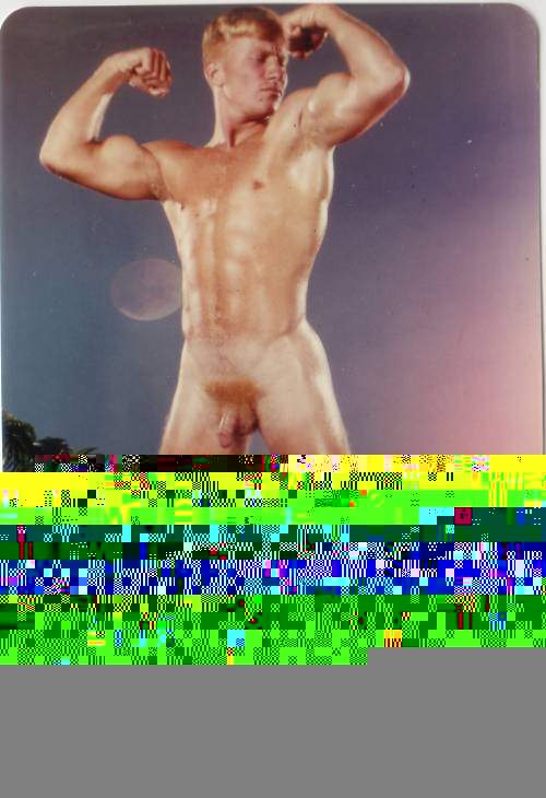 Next Image >>