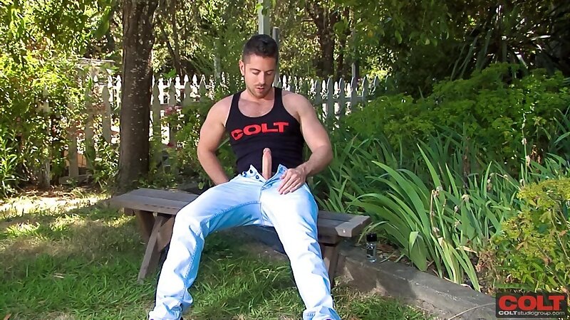 Next Image >>