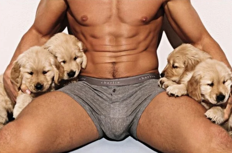 Next Image >>