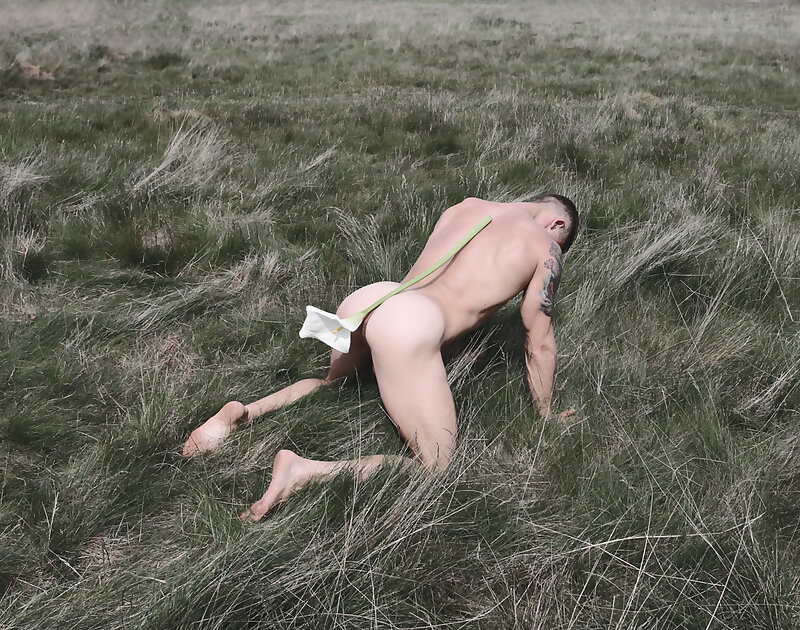 Weiter Image >>