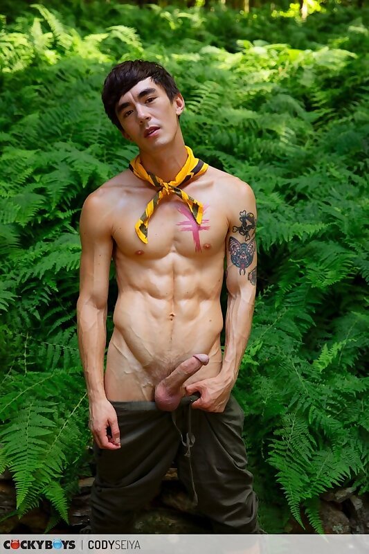 Next Image >>