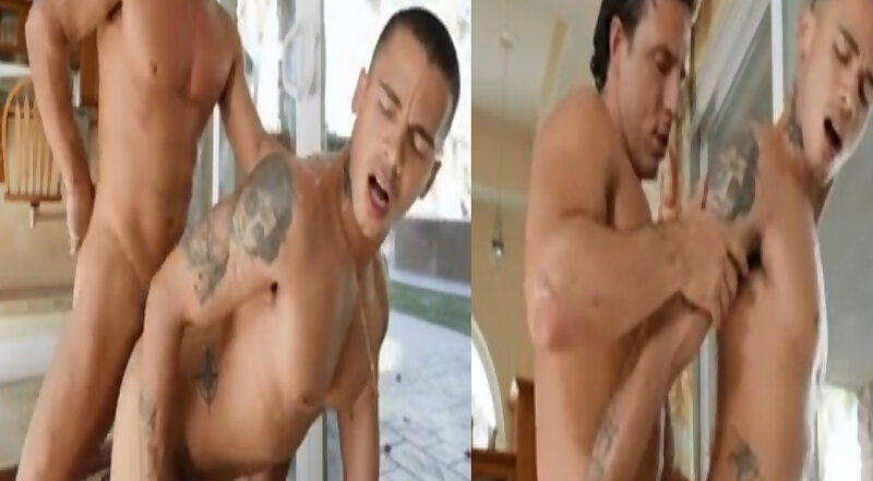 Next Image >>