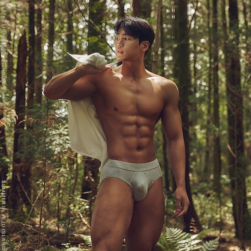 Next Image >>