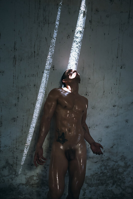 Next Image >>