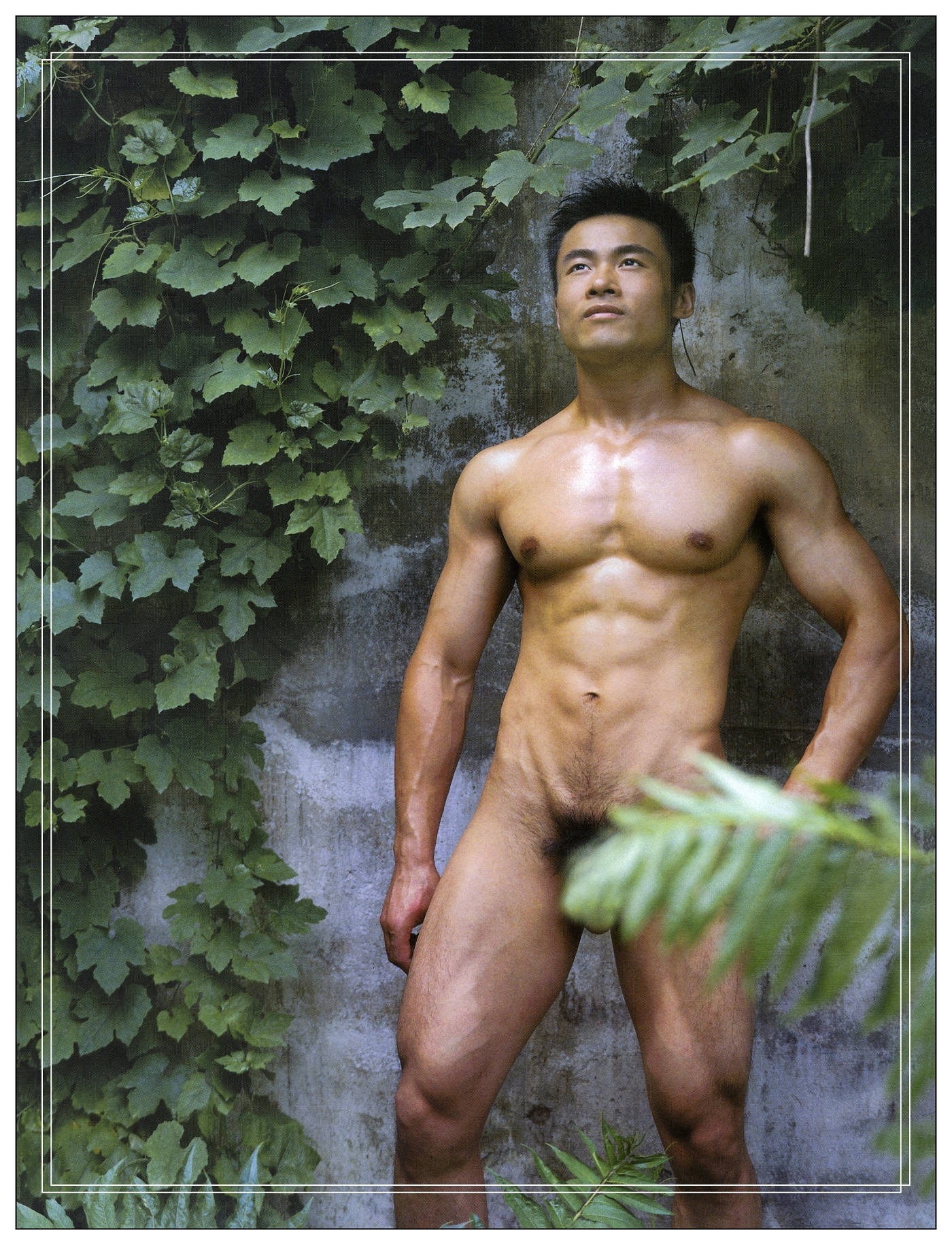 ASIAN.MALE.IDOL.SEXY.SHOW.gayAI.帅哥裸照 中国魅力先生 China Imeili Figure Men's Style - photo 66 - BoyFriendTV.com