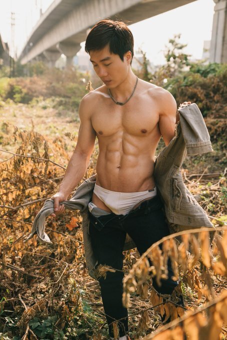 Next Image >>