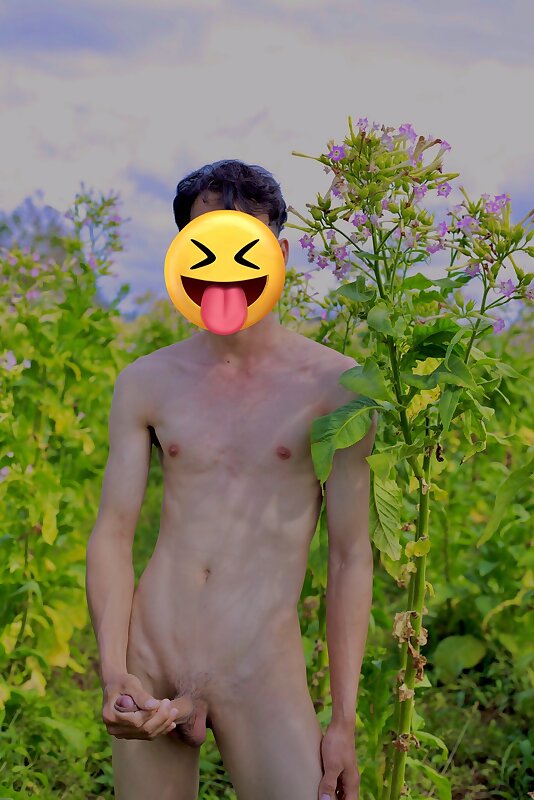 Next Image >>