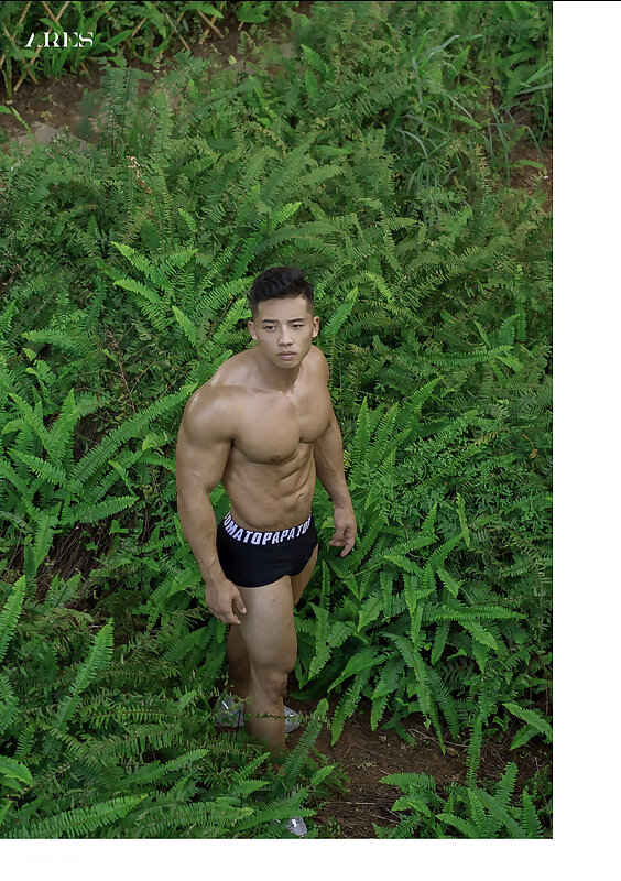 Next Image >>