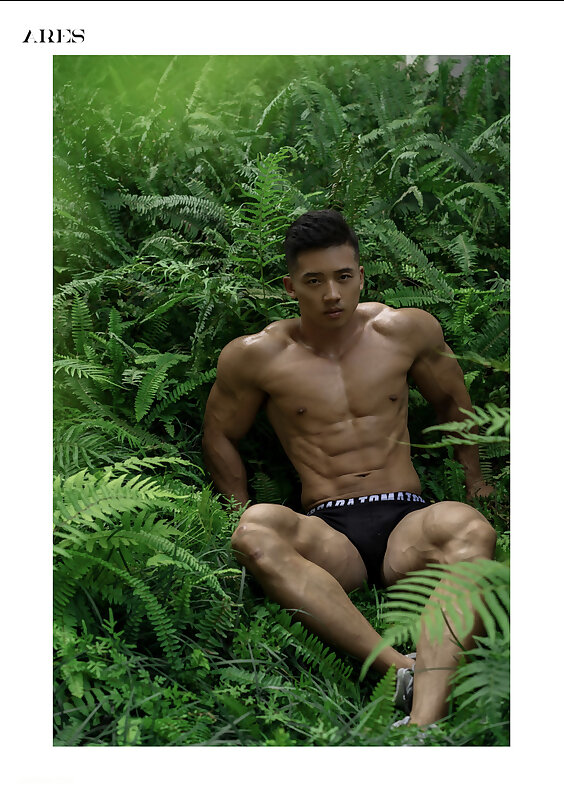 Next Image >>