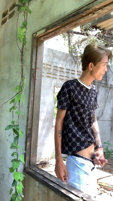 Next Image >>