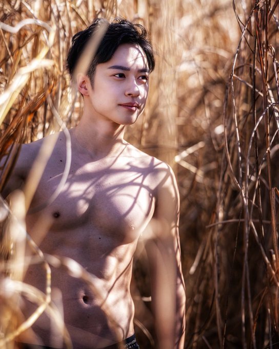 Next Image >>