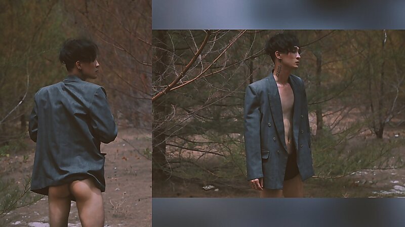 Next Image >>
