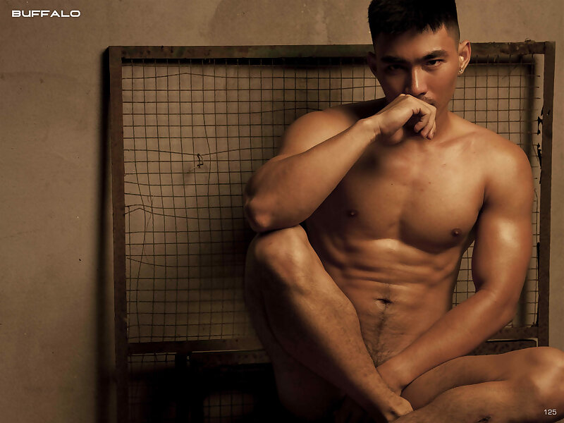 Next Image >>