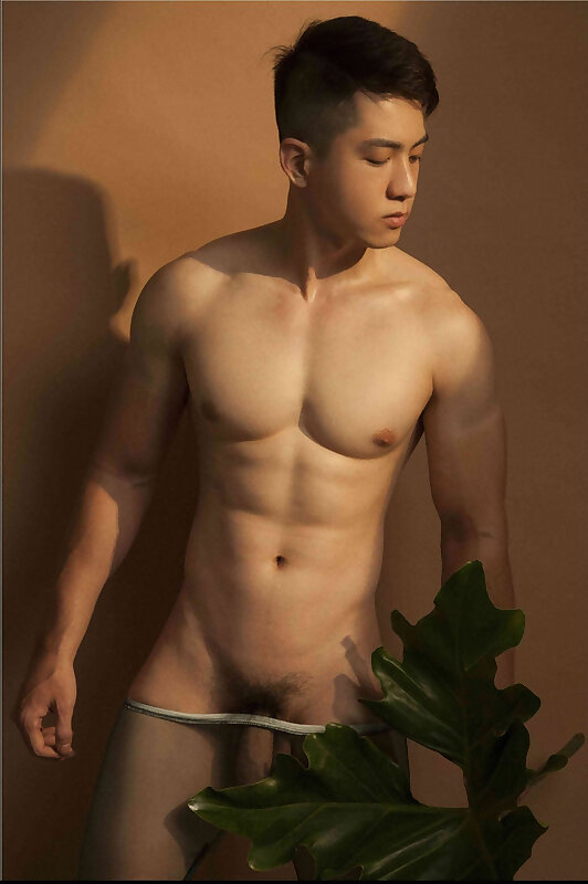 Next Image >>