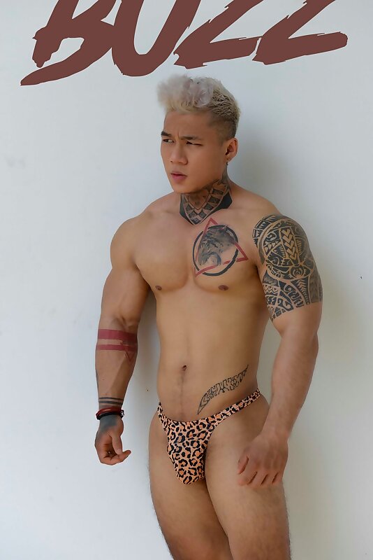 Next Image >>