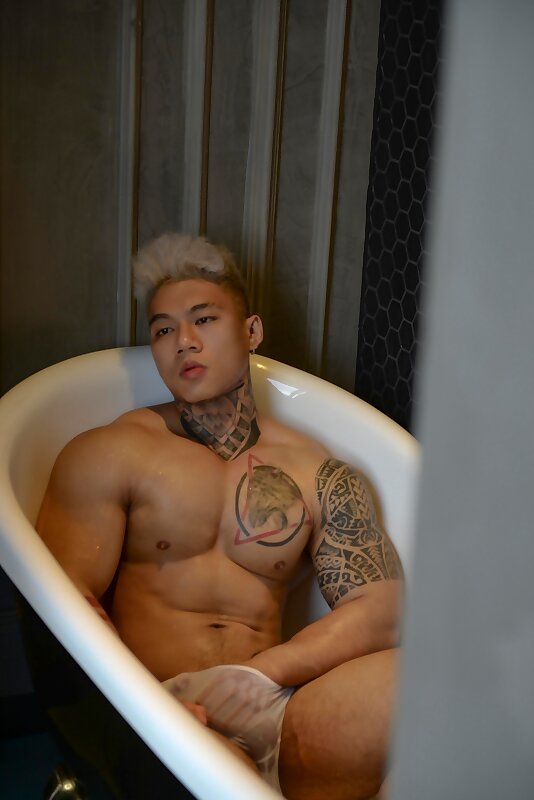 Next Image >>
