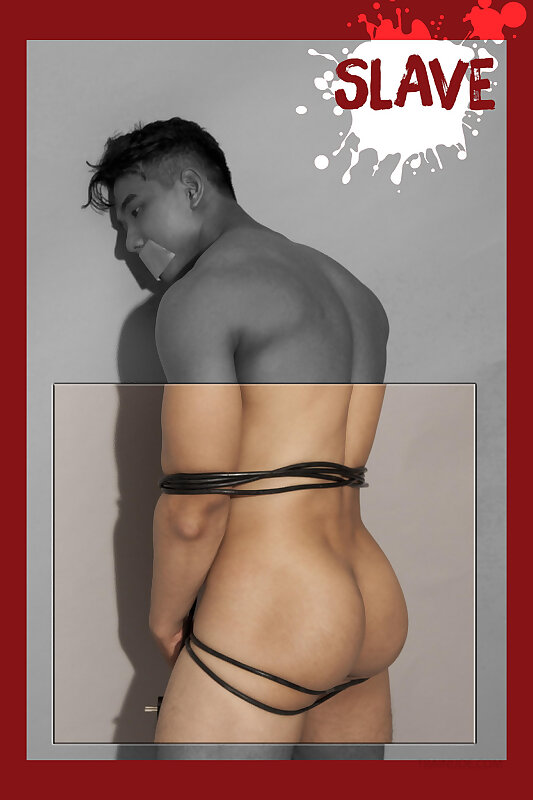 Next Image >>