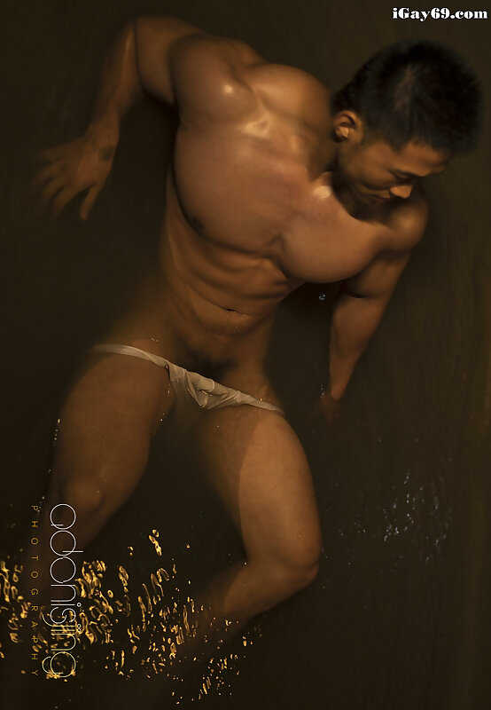 Next Image >>