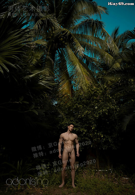 Next Image >>