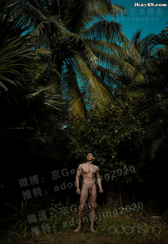 Next Image >>
