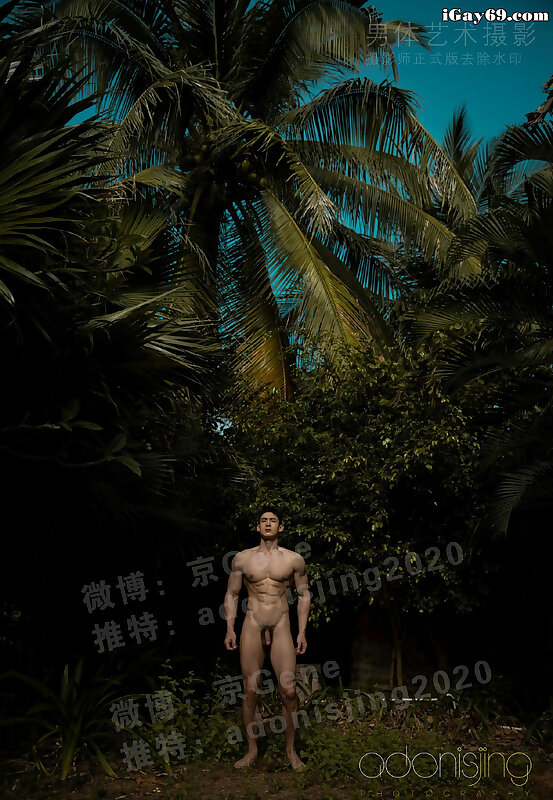 Next Image >>