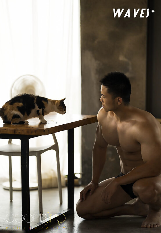Next Image >>