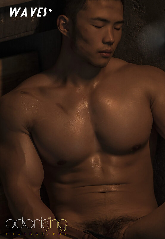 Next Image >>