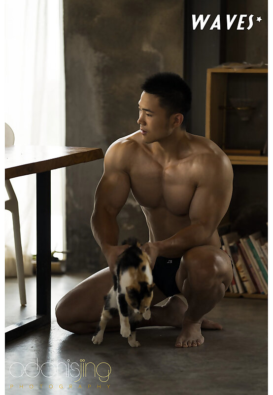 Next Image >>